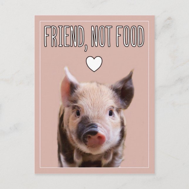 "Friend, not food"-rosa med söt smågris vegan Vykort (Framsida)