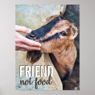 Friend not food vegan stop animal grymhet w/ get poster