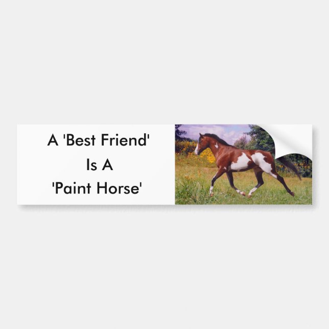 Friend Paint Horse Bumper Sticker Bildekal (Framsidan)