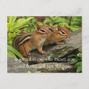 Friend Quote två Cute Baby Chipmunks Vykort