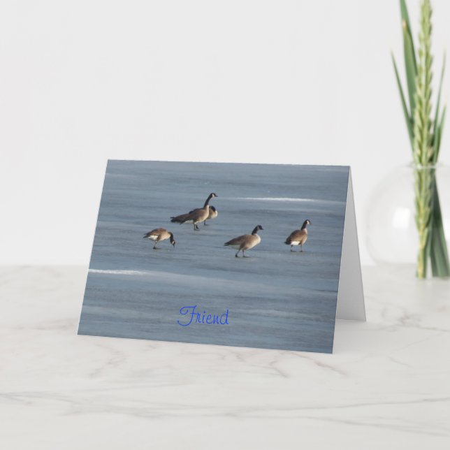 Friend, Stroll Down Memory Lane, Geese Kort (Framsida)