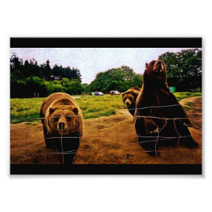 Friendly Bears Fototryck