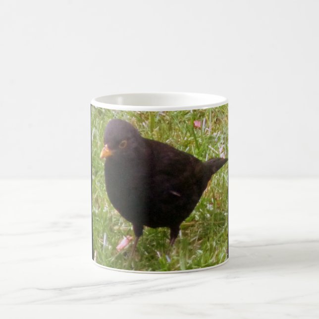 Friendly Blackbird Mugg (Center)
