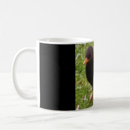 Friendly Blackbird Mugg
