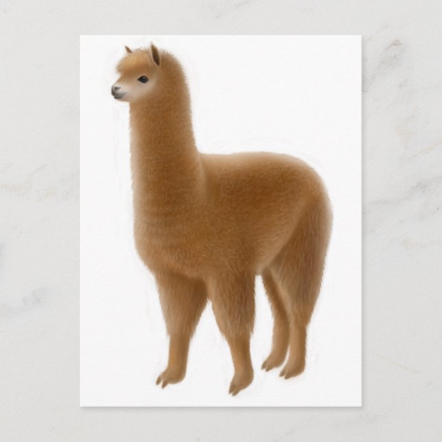 Friendly Brown Alpaca vykort (Framsida)