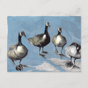 Friendly Canada Geese 2012 Vykort