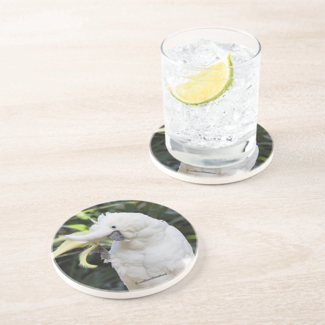 Friendly Cockatoo Parrot Bird Vågar vid Paparazzi Underlägg (Sidan)