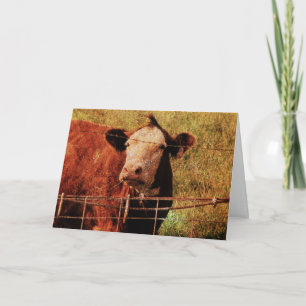 Friendly Cow, Fars dag Kort