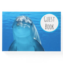 Friendly Dolphin Blue Sea Guest Bok