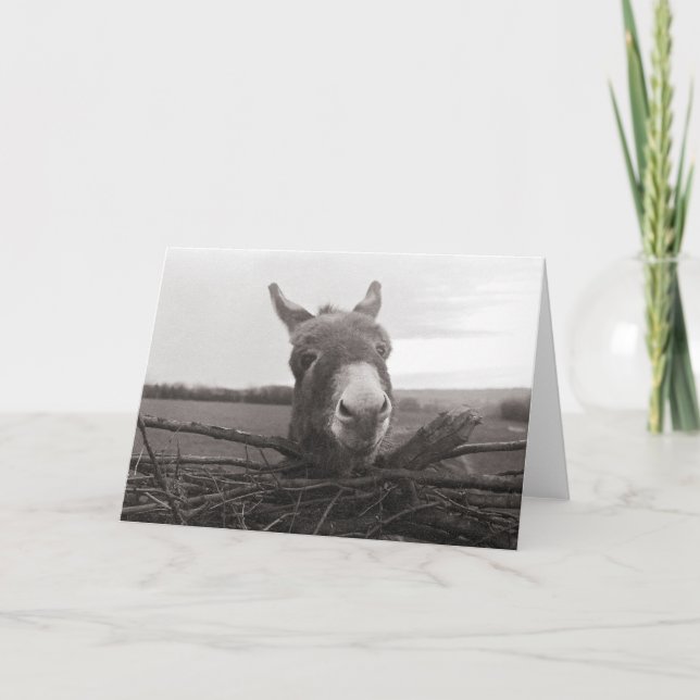 Friendly Donkey - Vintage Photo Kort (Framsida)