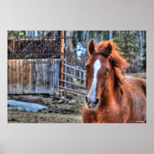 Friendly Dun Ranch Horse Photo & Dikt Poster