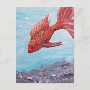 Friendly Fish Greeting Card Vykort
