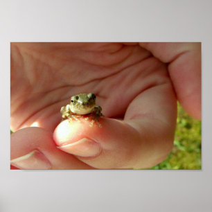 Friendly Frog på Finger Poster