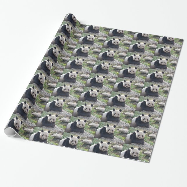 Friendly Giant Panda Presentpapper (Utrullad)
