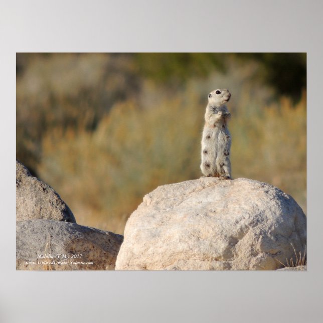 Friendly Hälsning Poster (Framsidan)