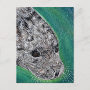 Friendly Harbour Seal Paing Vykort