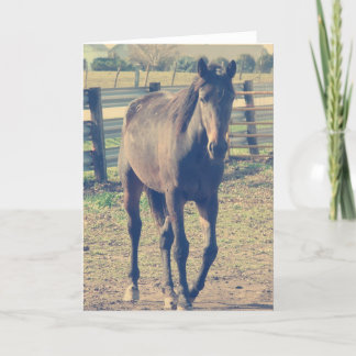 Friendly Horse Kort