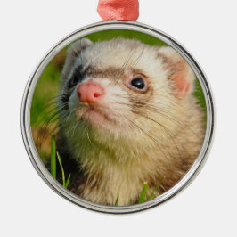 Friendly Pet Ferret Julgransprydnad Metall