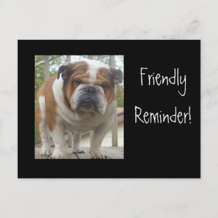 Friendly Reminder English Bulldog Postcards Vykort