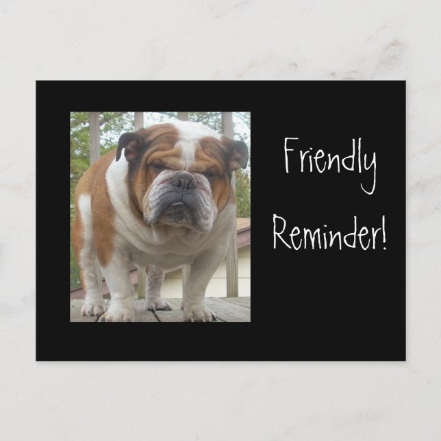Friendly Reminder English Bulldog Postcards Vykort (Framsida)