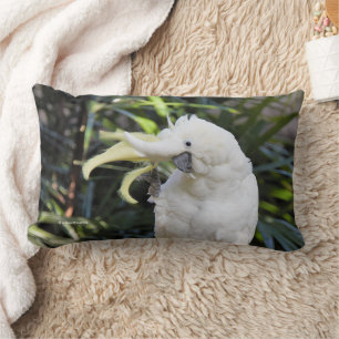 Friendly Sulfur Crested Cockatoo Vinkar Hej Lumbarkudde