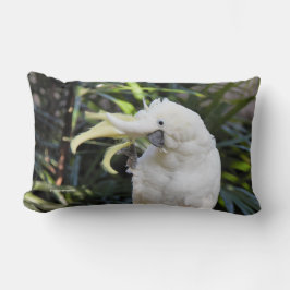 Friendly Sulfur Crested Cockatoo Vinkar Hej Lumbarkudde
