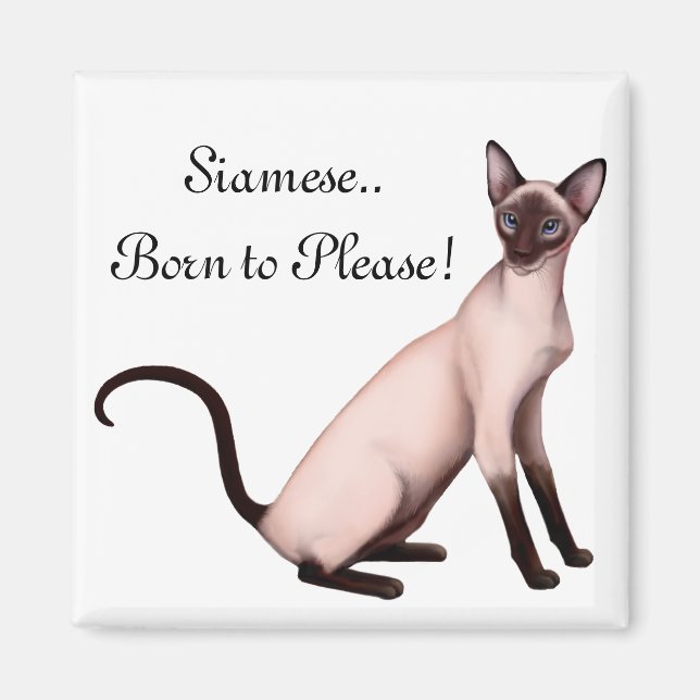 Friendly Young Siamese Cat Anpassade Magnet (Framsidan)