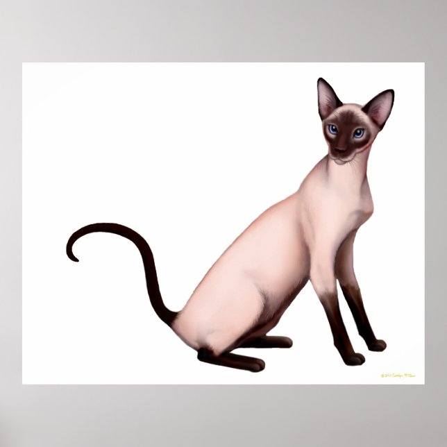 Friendly Young Siamese Cat Poster (Framsidan)