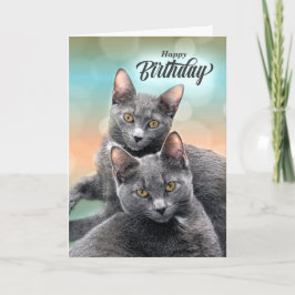 Friends Birthday Grått Cats för Cat Lover Kort