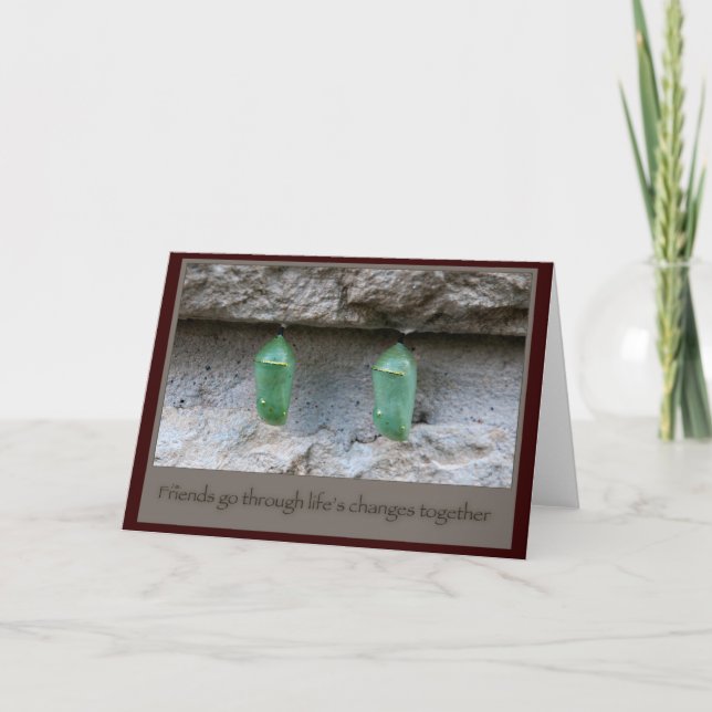 Friends Butterfly Cocoons Kort (Framsida)