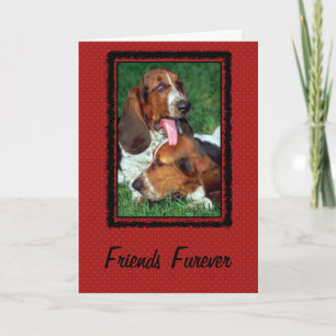 Friends Furever [Forever] Kort
