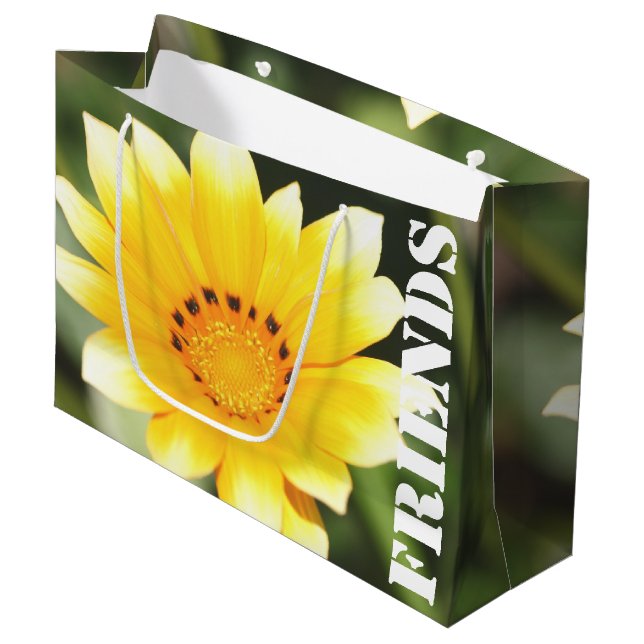 Friends Gift Bag (Framsidan Vinklad)