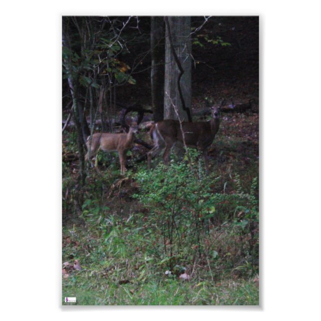 Friends Photo Print Fototryck (Framsidan)