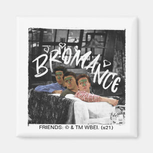FRIENDS™   Ross, Joey och Chandler Bromance Magnet