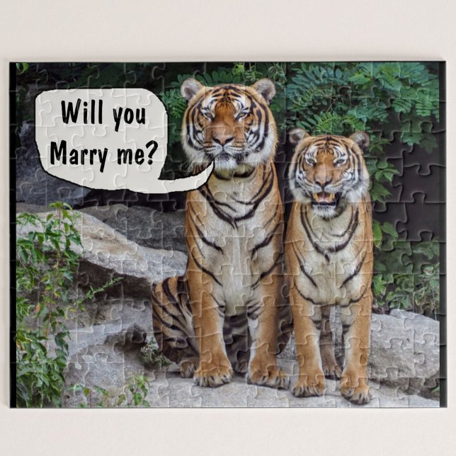 Frieri katt från bröllop pussel (Tiger proposal
)