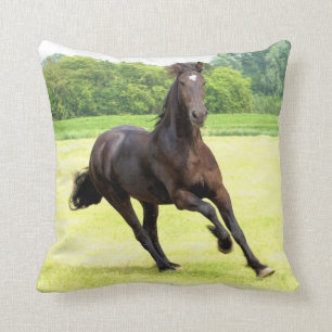 friesian-12.jpg kudde