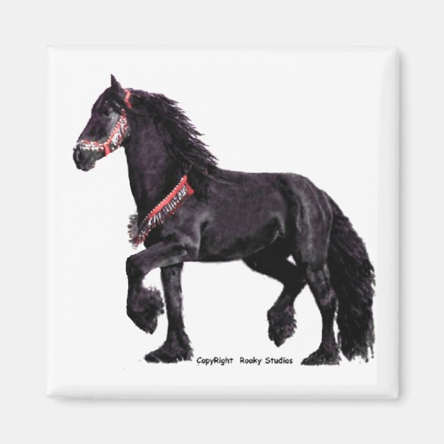 Friesian Dance Magnet 1 (Framsidan)