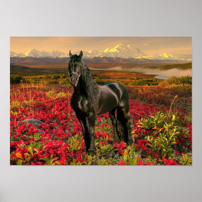 Friesian DIAMOND I - Poster (Framsidan)