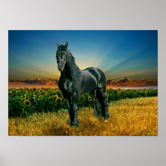 Friesian DIAMOND II - Poster (Framsidan)