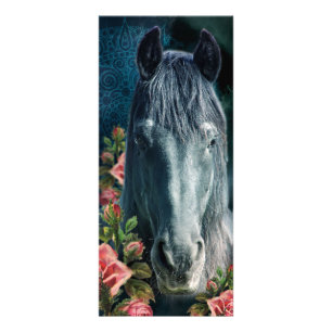 Friesian DIAMOND ~ Rackcard Reklamkort