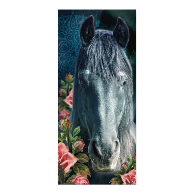 Friesian DIAMOND ~ Rackcard Reklamkort (Framsidan)