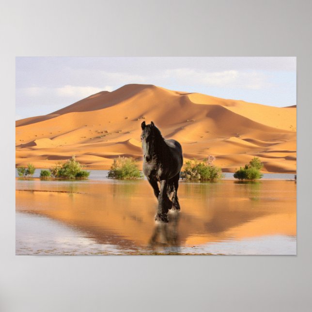 Friesian DIAMOND V - Poster (Framsidan)