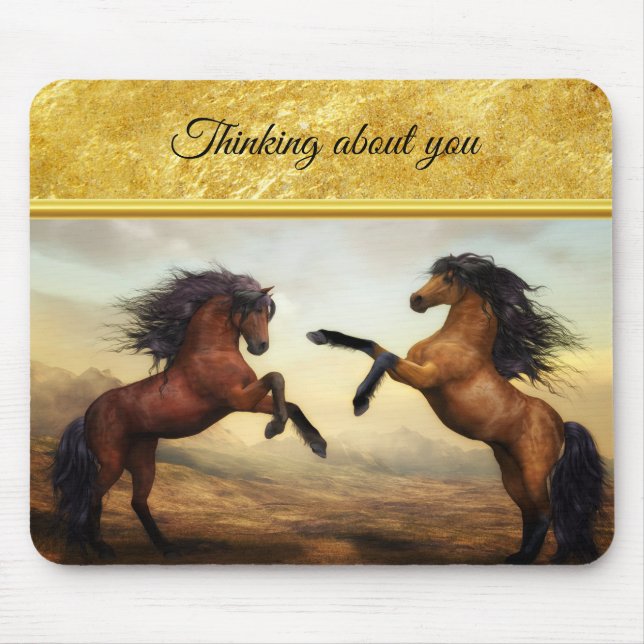 Friesian Draft Horses i en bergsdal i berget Musmatta (Framsidan)