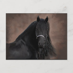 Friesian Flair Vykort