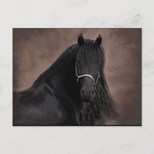 Friesian Flair Vykort (Framsida)