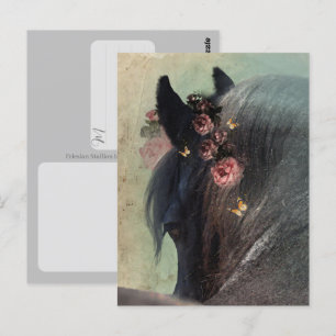 Friesian-häst - vykort