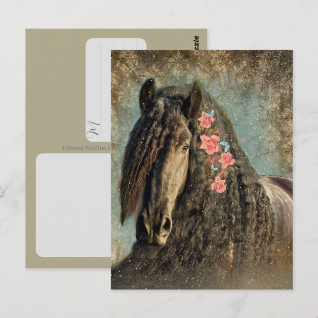 Friesian-häst - vykort (Fram/baksida)