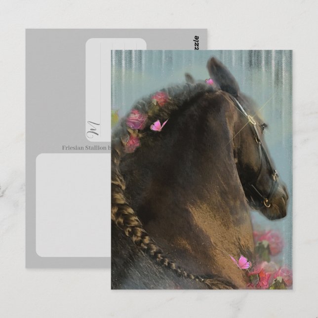 Friesian-häst - vykort (Fram/baksida)