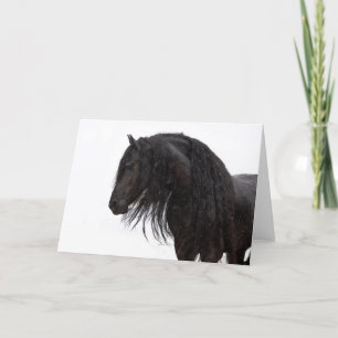 Friesian Hingstar Julkort Helgkort