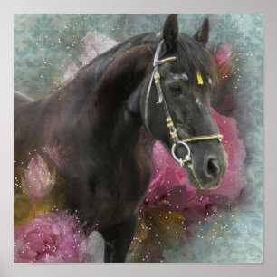 Friesian Horse - Art Print Poster